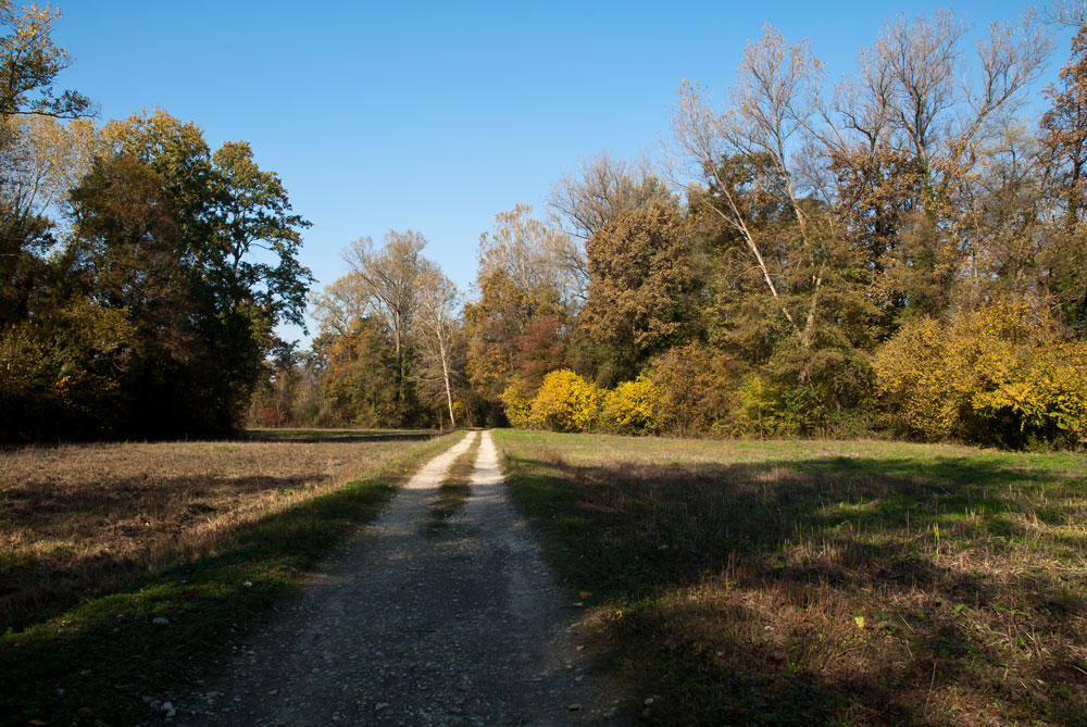 Colori d'autunno - Anello Ronchi - Sentiero delle Farfalle