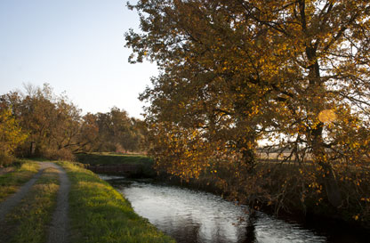 Canale Castellana - Anello Ronchi - Sentiero delle Farfalle