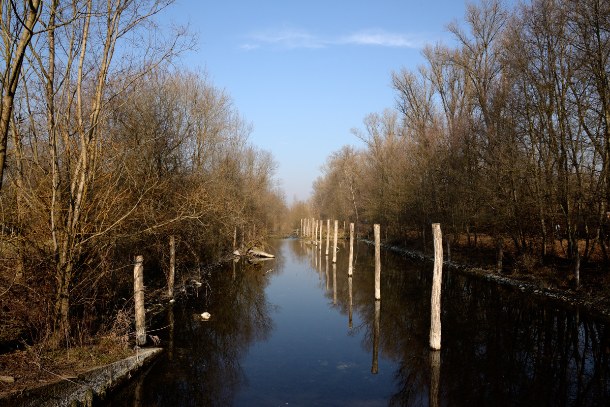 Vasche storioni - Percorsi al Parco Mandelli