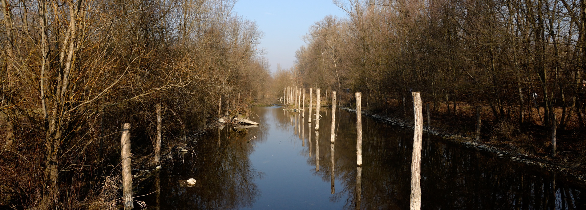 Percorsi al Parco Mandelli