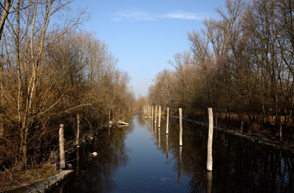 Percorsi al Parco Mandelli