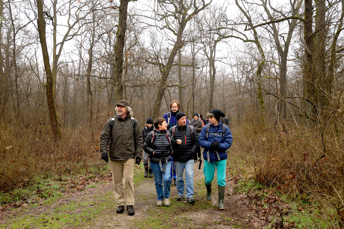 Il gruppo in cammino