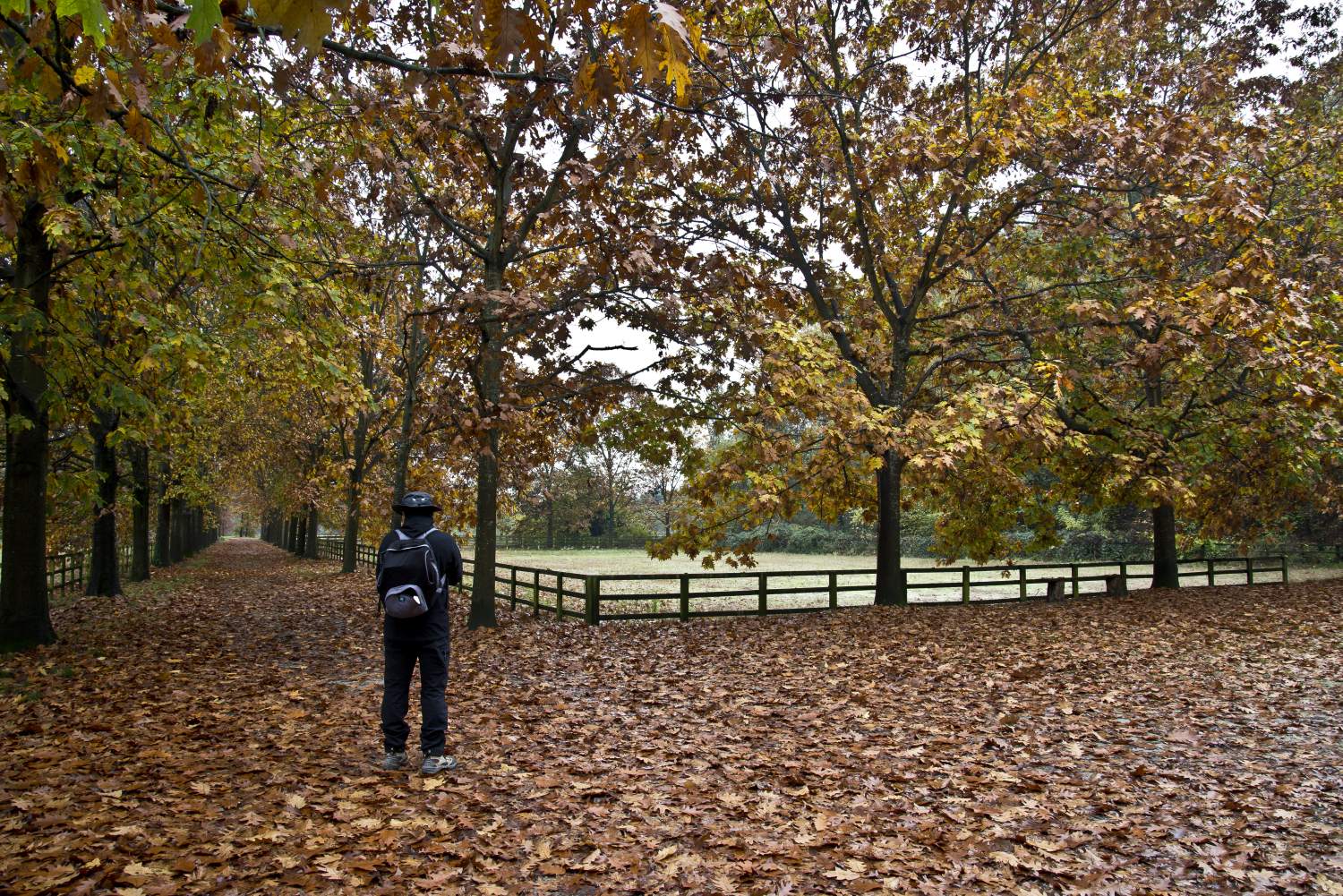 Cascina Casone colori d'autunno