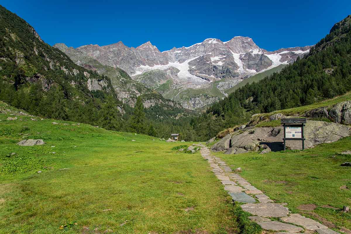 Monte Rosa dal Rifugio Pastore