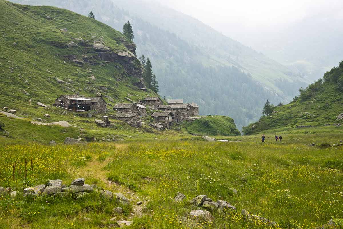 Calderini dal Vallone del Bors