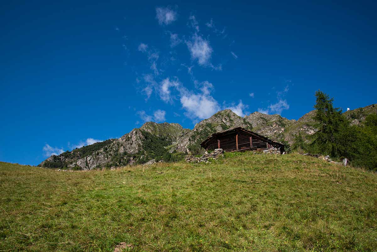 Alpe le Piane - Cima Mutta