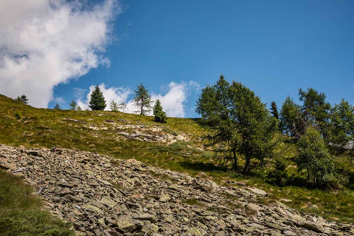 Cima Mutta - verso la cima