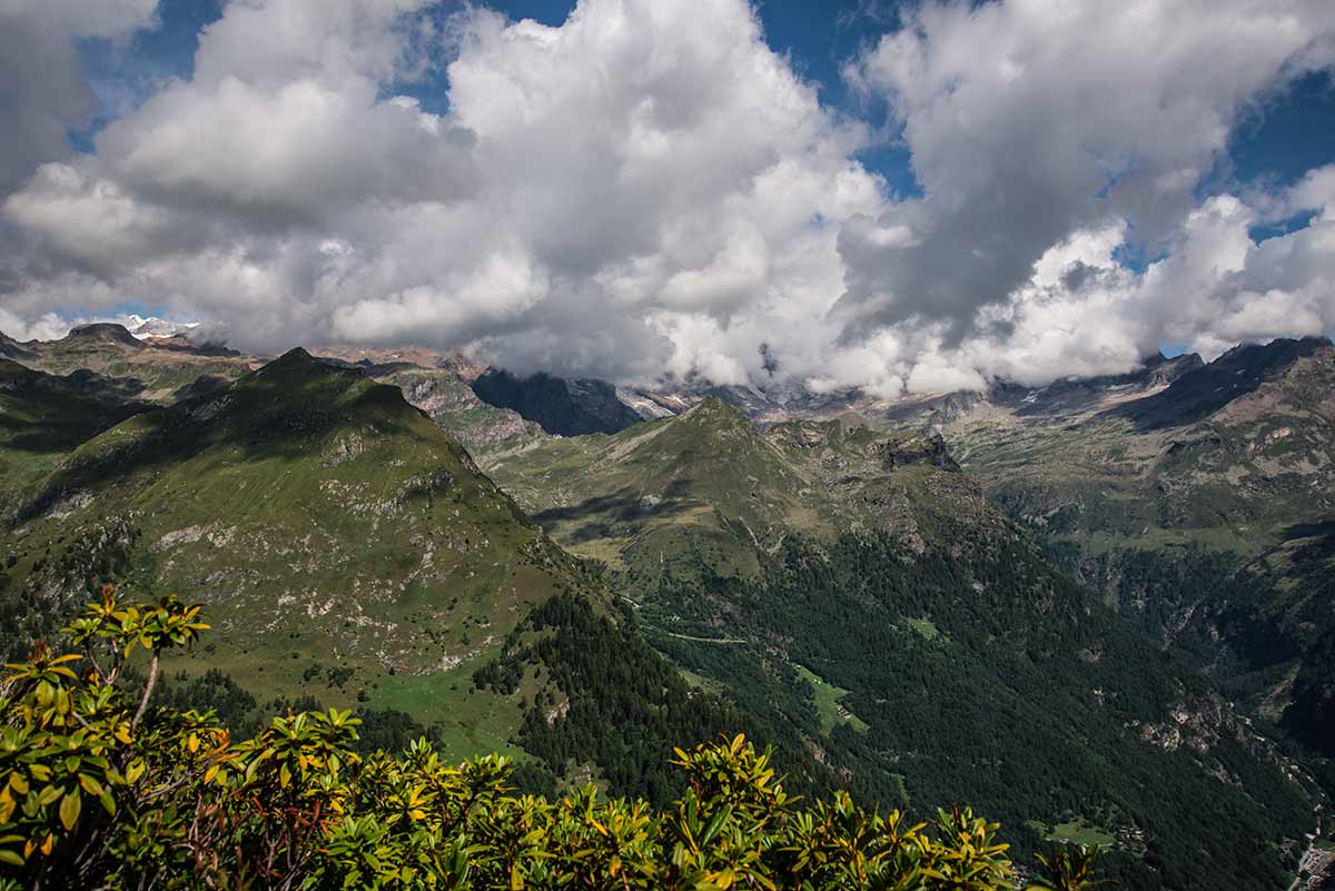 Verso il monte Rosa dalla cima Mutta